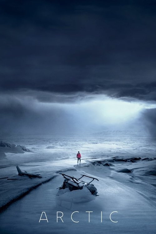 پوستر Arctic