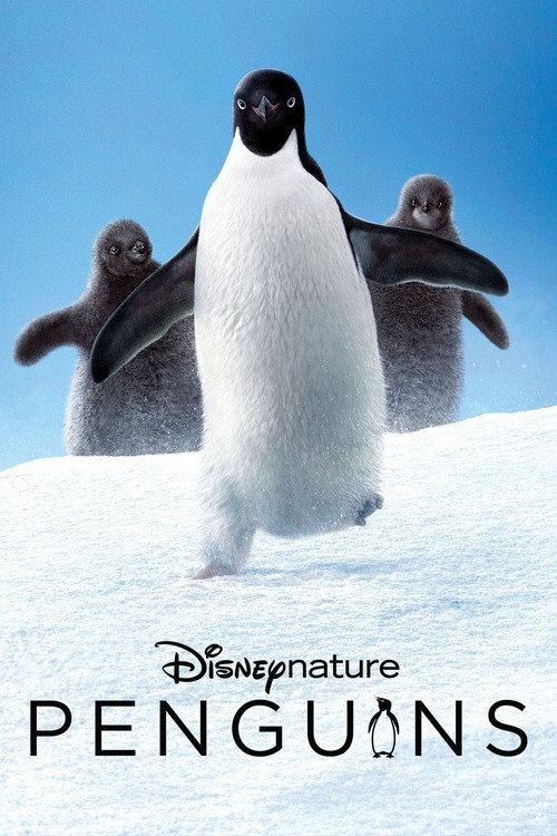 پوستر Penguins