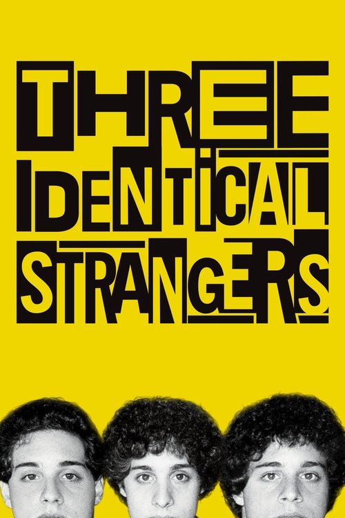پوستر Three Identical Strangers