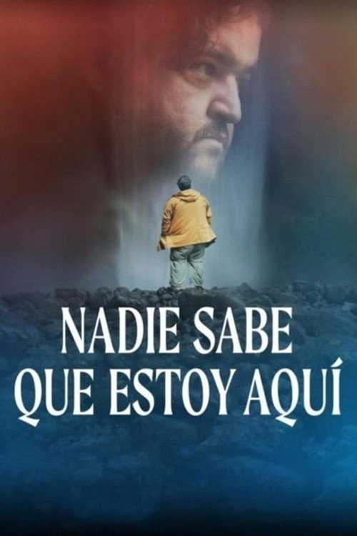پوستر Nadie sabe que estoy aquí