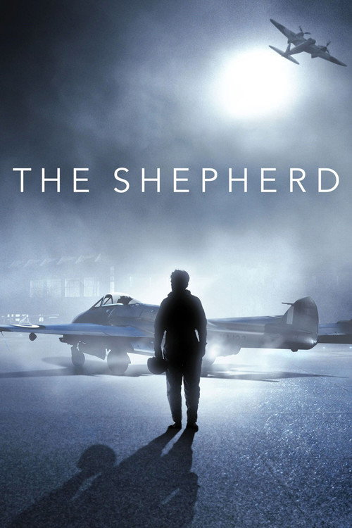 پوستر راهنما
