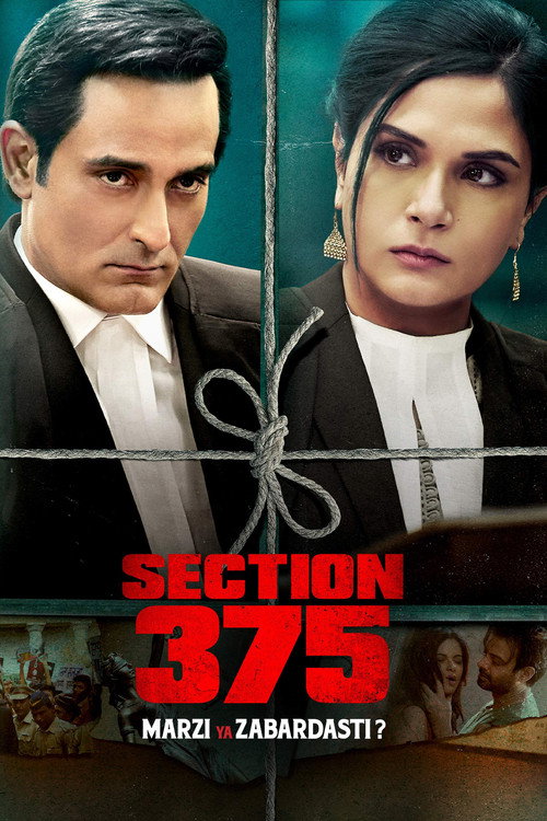 پوستر Section 375