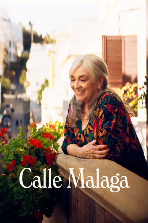 پوستر Calle Málaga