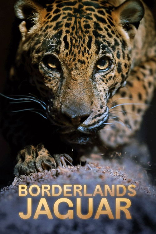 پوستر Borderlands Jaguar