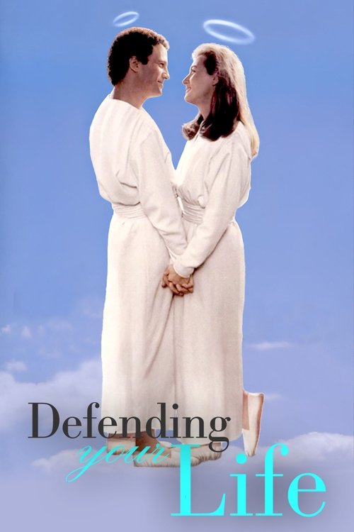 پوستر Defending Your Life