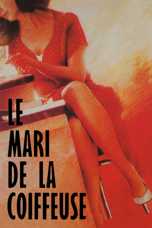پوستر Le Mari de la coiffeuse
