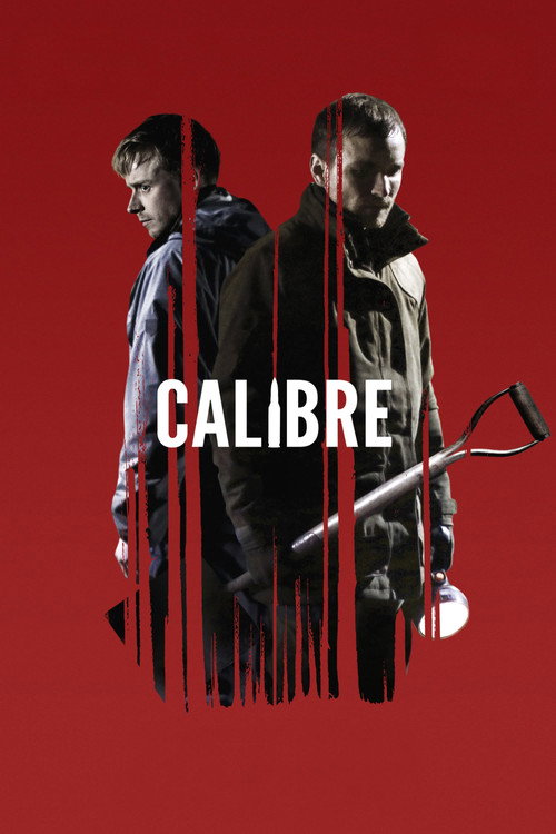 پوستر Calibre