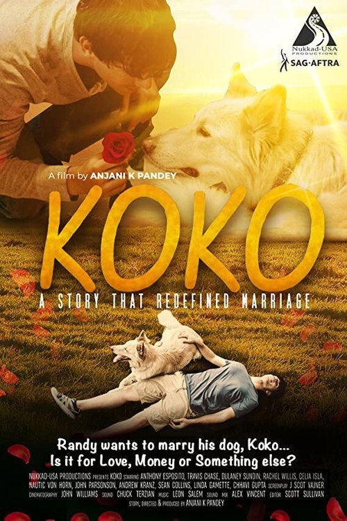پوستر Koko
