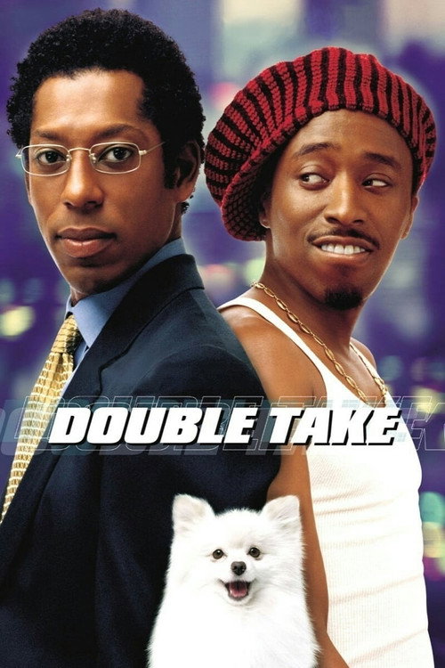 پوستر Double Take