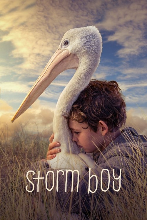پوستر Storm Boy