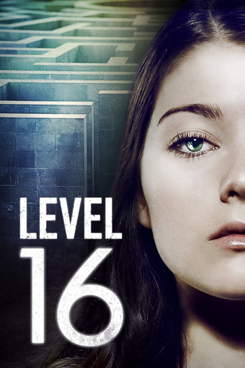 پوستر Level 16
