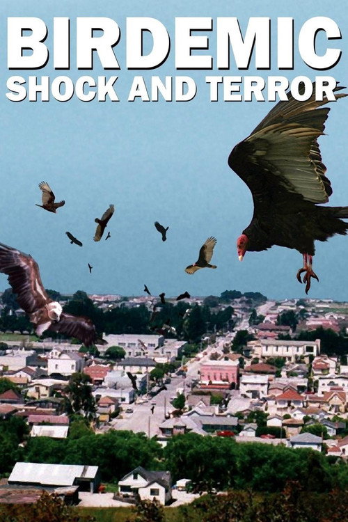 پوستر Birdemic: Shock and Terror
