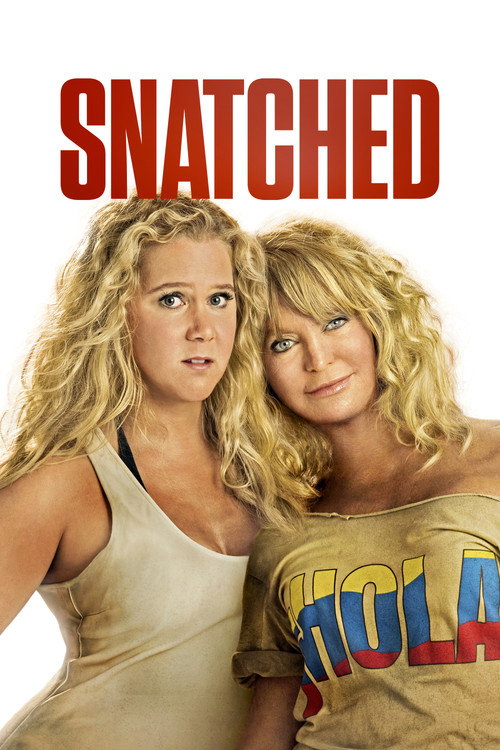 پوستر Snatched