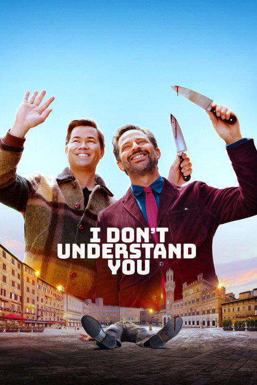پوستر I Don't Understand You