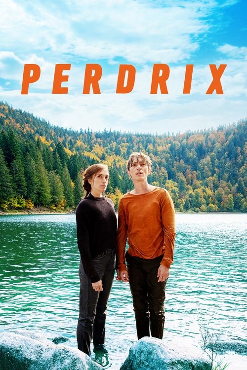 پوستر Perdrix
