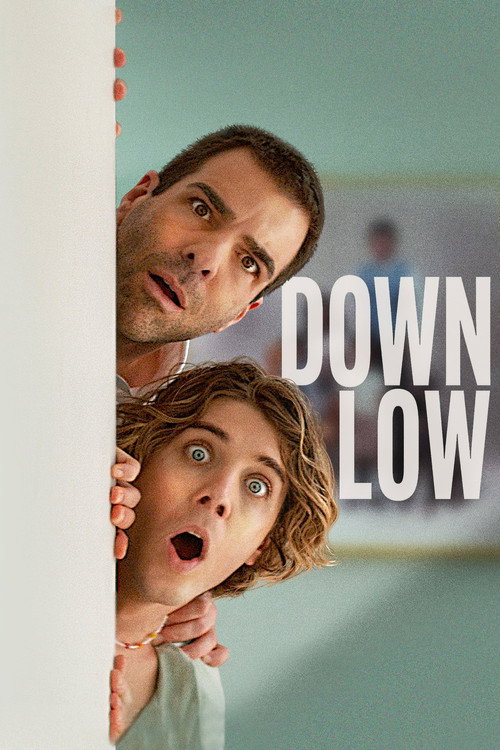 پوستر Down Low