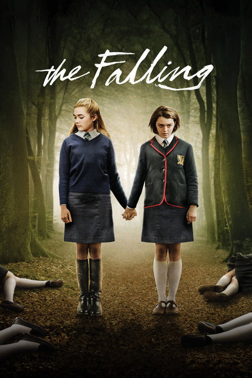 پوستر The Falling