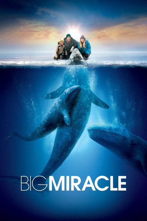 پوستر Big Miracle