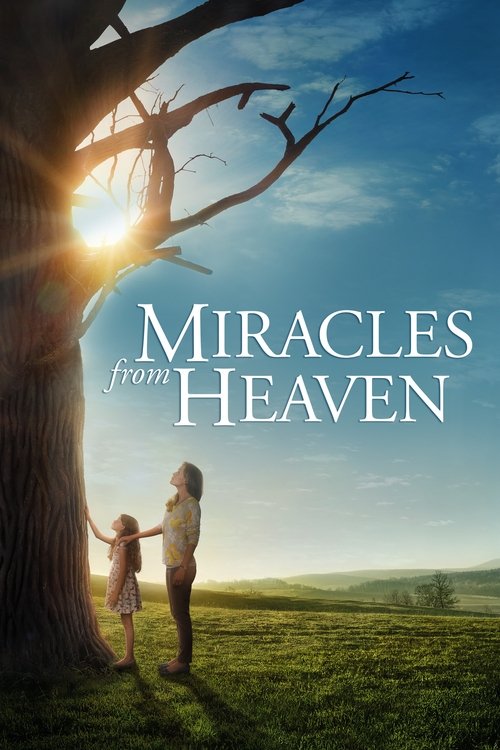 پوستر Miracles from Heaven
