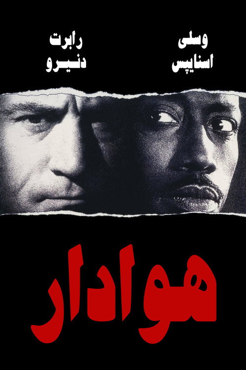 پوستر The Fan