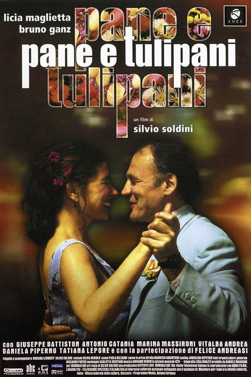 پوستر Pane e tulipani