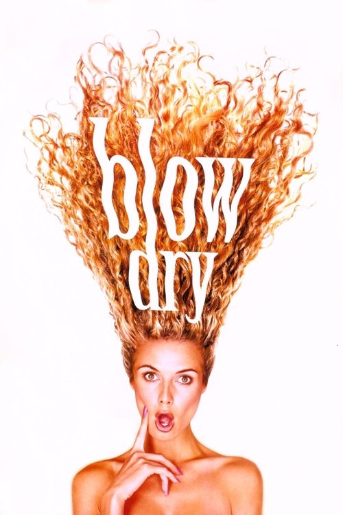 پوستر Blow Dry
