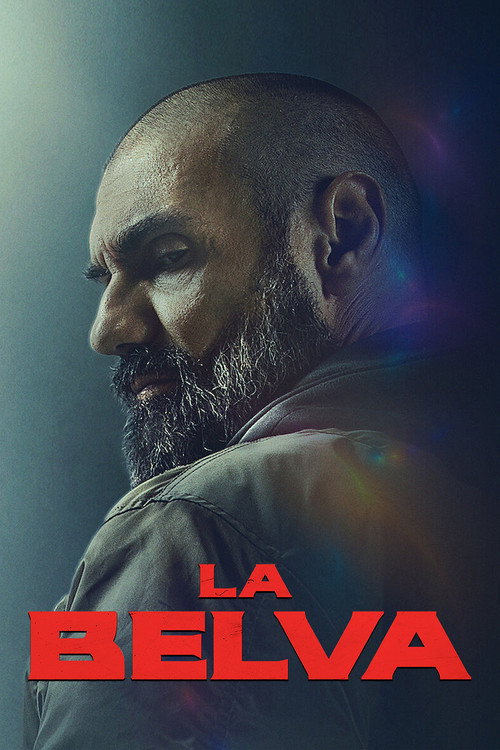 پوستر La Belva
