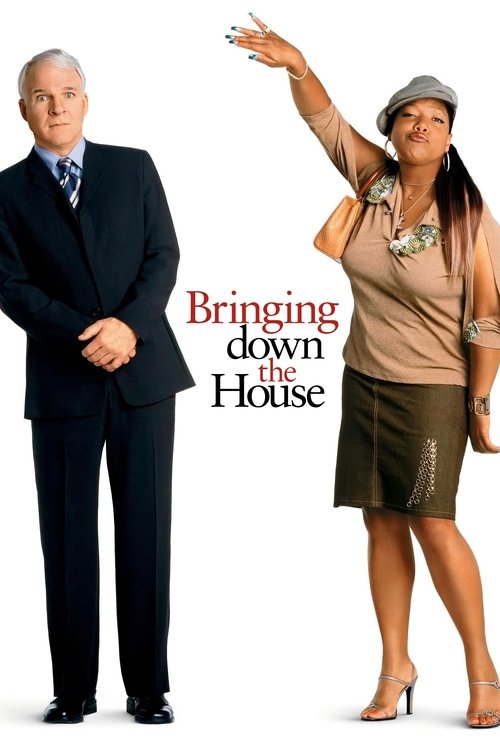 پوستر Bringing Down the House