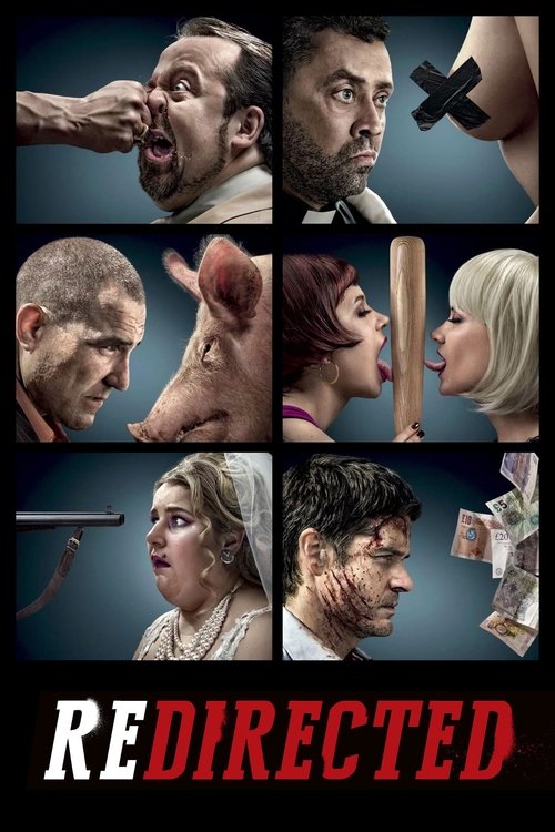 پوستر Redirected