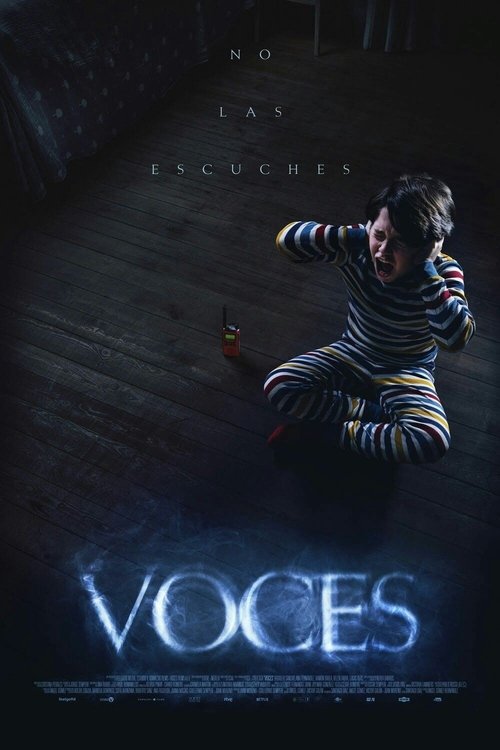پوستر Voces