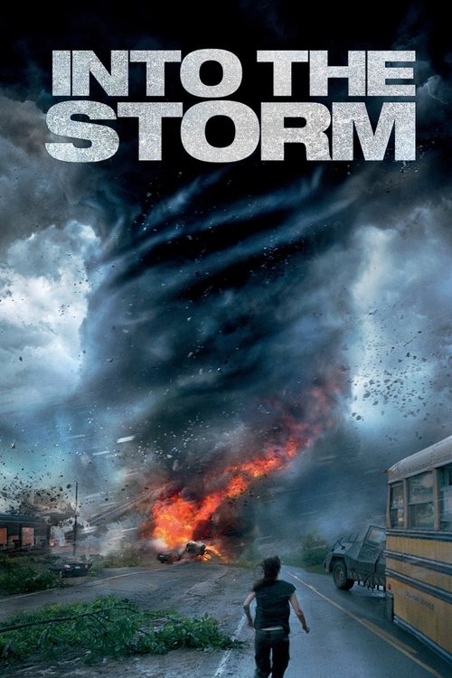 پوستر Into the Storm