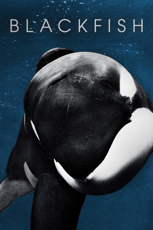 پوستر Blackfish