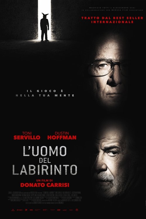 پوستر Into the Labyrinth