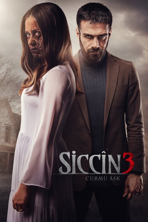 پوستر Siccîn 3: Cürmü Aşk
