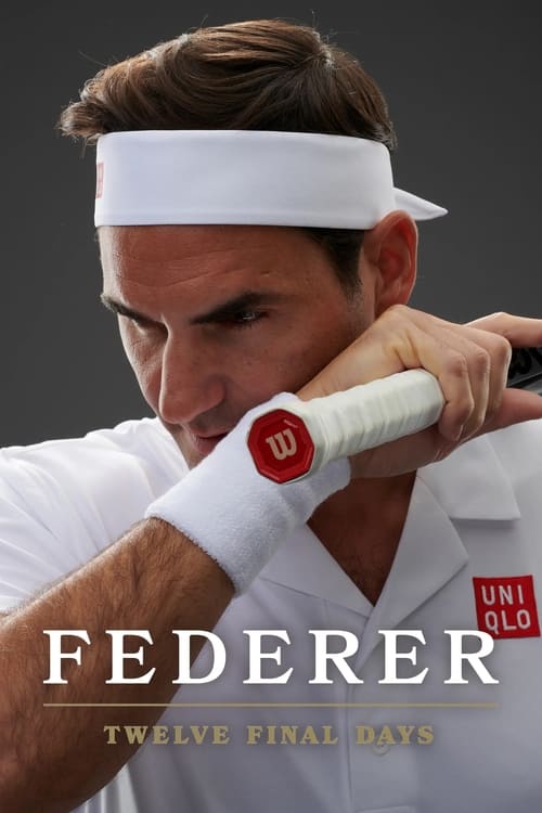 پوستر Federer: Twelve Final Days