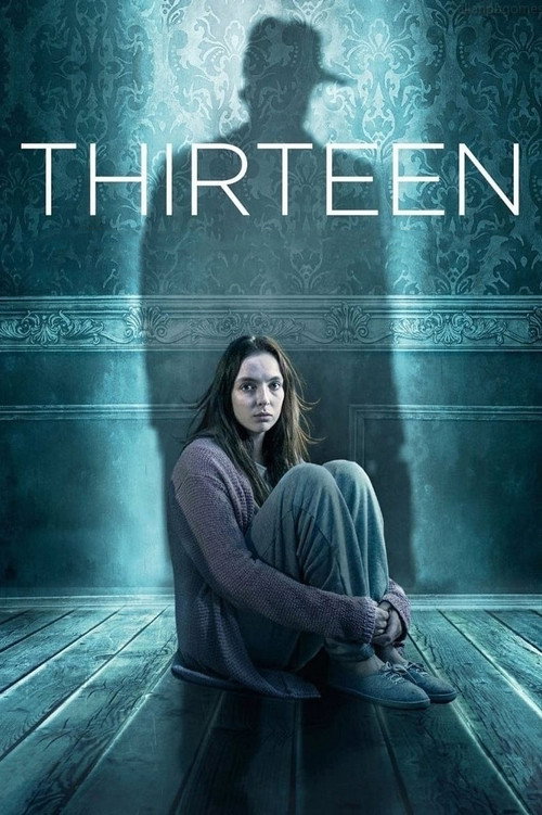 پوستر Thirteen