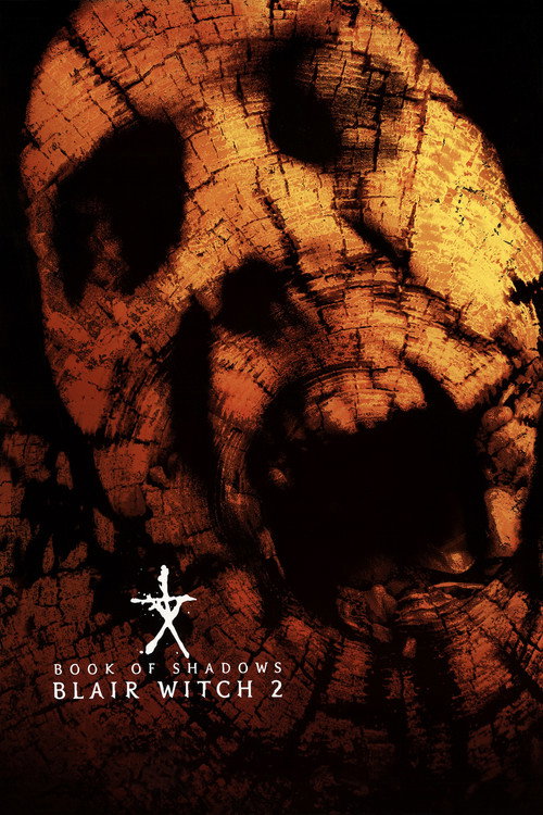 پوستر Book of Shadows: Blair Witch 2