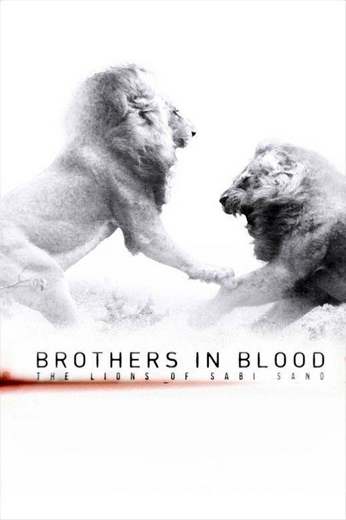پوستر Brothers in Blood: The Lions of Sabi Sand