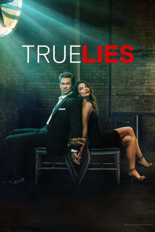 پوستر True Lies