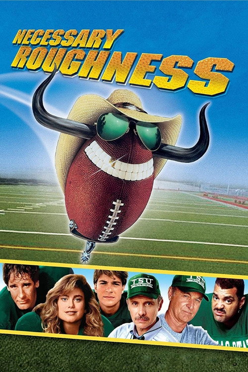 پوستر Necessary Roughness