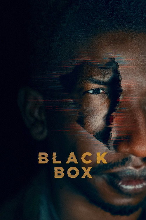 پوستر Black Box