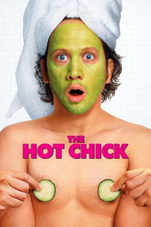 پوستر The Hot Chick