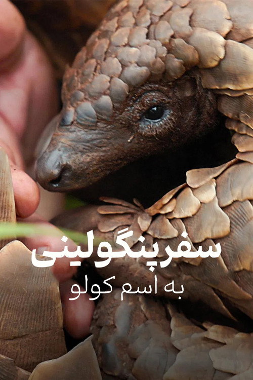 پوستر سفر پنگولینی به اسم کولو