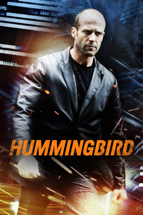پوستر Hummingbird