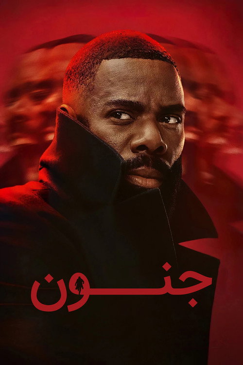 پوستر The Madness