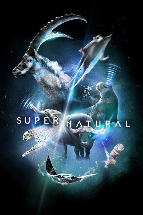 پوستر Super/Natural