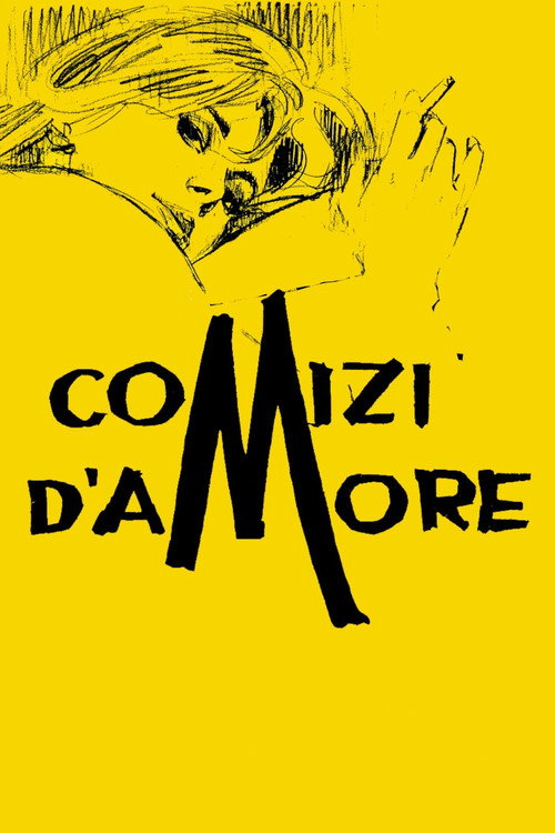 پوستر Comizi d'amore