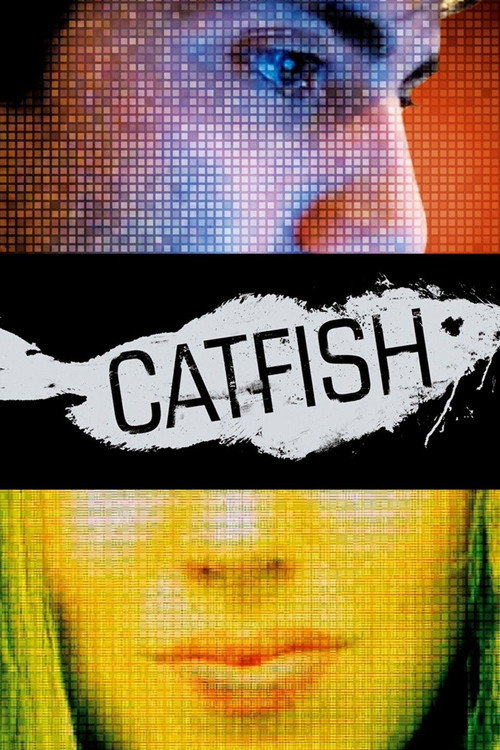 پوستر Catfish