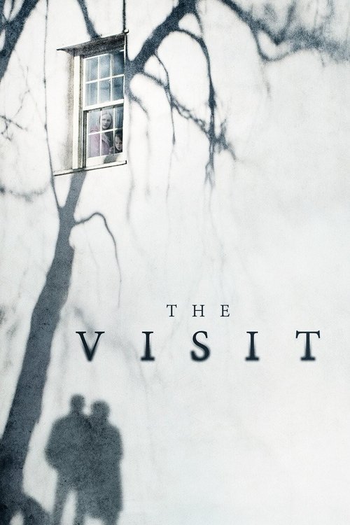 پوستر The Visit