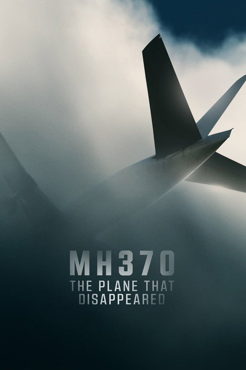 پوستر MH370: The Plane That Disappeared